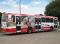 Sagapol, Rockwool