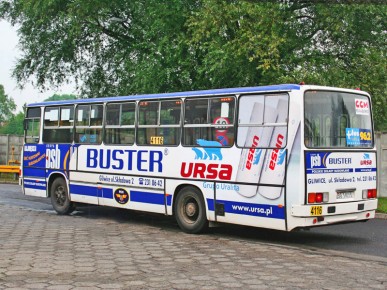 Buster, Ursa