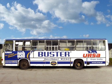 Buster, Ursa